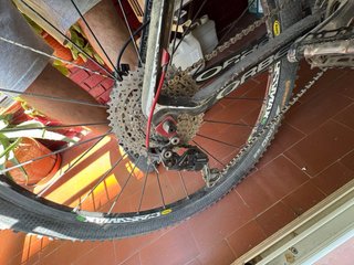 Bicicleta Orbea Alma 29 Carbono