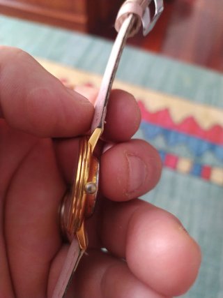 Reloj Pertegaz Dorado y Rosa