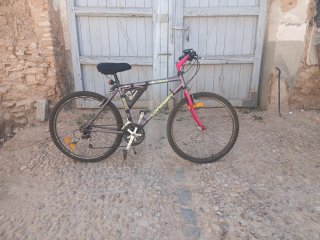 Bicicleta de Montaña AL TEAM