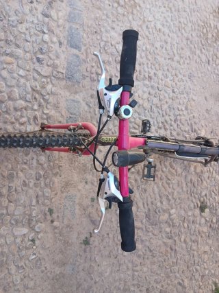 Bicicleta de Montaña AL TEAM