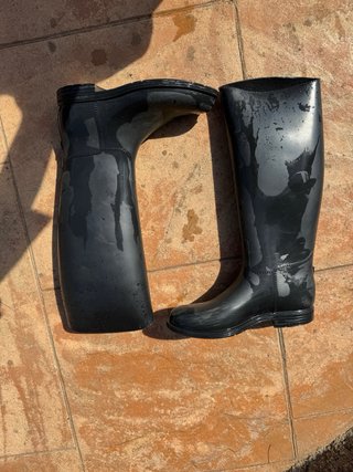 Botas de equitación negras