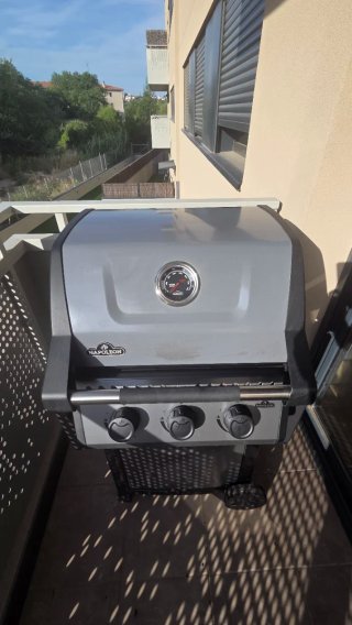 Barbacoa Napoleon Freestyle 365