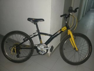 Bici infantil 20 Btwin
