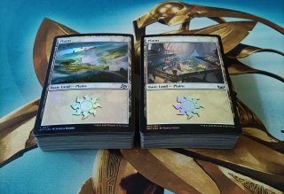 MAGIC FOIL - TIERRAS BÁSICAS