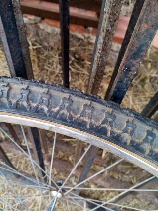 Rueda de Bicicleta 26