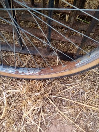 Rueda de Bicicleta 26
