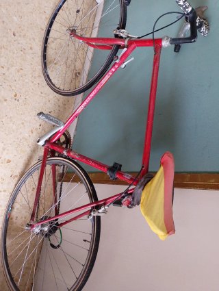 Bicicleta de carretera roja