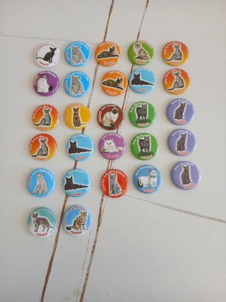 Magneti di gatti YOGOICE