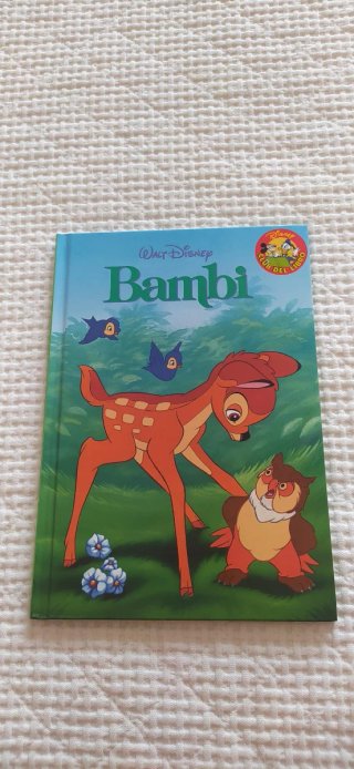 LOTE LIBROS DISNEY Y EL HECHICERO CHAPUCERO.