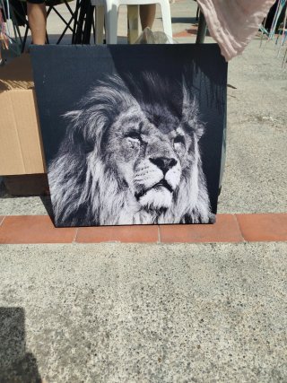 Cuadro León Blanco y Negro