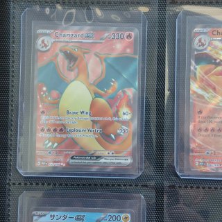 Lote Cartas Pokémon TCG