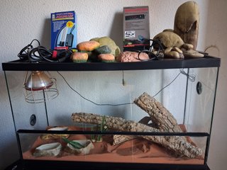 Terrario Reptiles/Anfibios 80x46x30