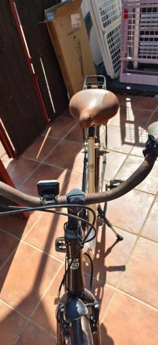 Bicicleta GÖRICKE