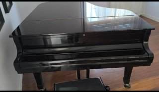 Piano de Cola Young Chang Negro