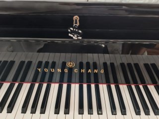 Piano de Cola Young Chang Negro