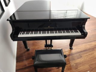 Piano de Cola Young Chang Negro