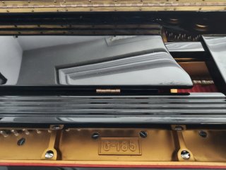 Piano de Cola Young Chang Negro