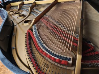 Piano de Cola Young Chang Negro