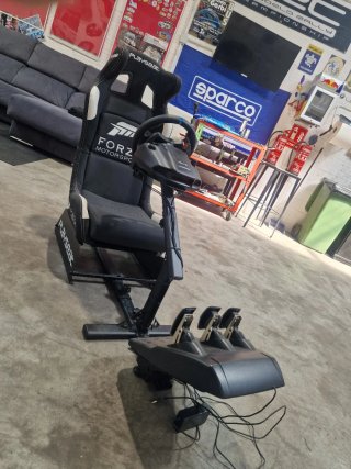 Simulador Playseat Forza Motorsport Completo