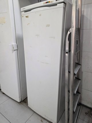 Congelador Vertical Fricon