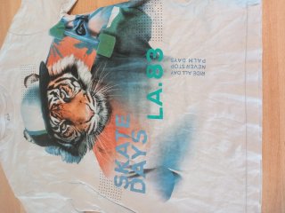 T-shirt ragazzo con tigre e skateboard
