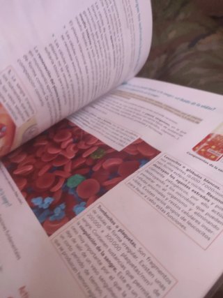 Biología y Geología 3º ESO. Libro del estudiant...