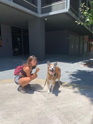 Paseadora y cuidadora de perros