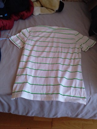 Camiseta de rayas verdes y blancas.