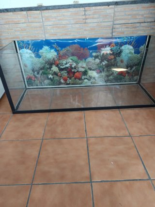 Gran pecera con decoración de coral