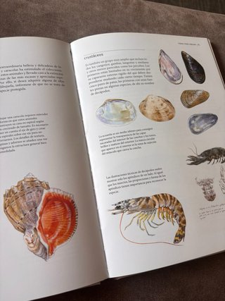 Dibujar la naturaleza