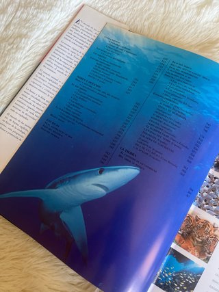 Libro "El Mundo de los Animales"