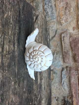 Caracol de cerámica blanco con detalles dorados