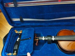 Viola Stentor Student 3/4 con funda y arco