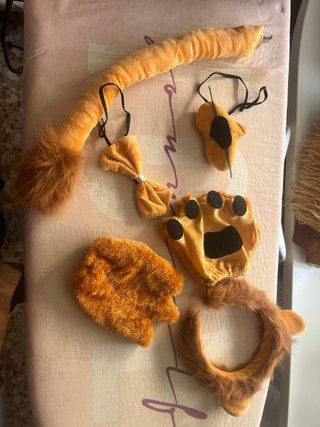 Costume da Leone per Bambini