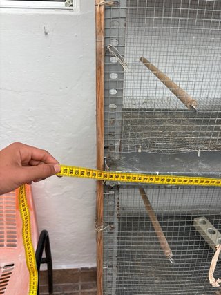 Jaula para pájaros multi-nivel