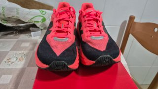 Zapatillas New Balance Running Rebel v5 rojas