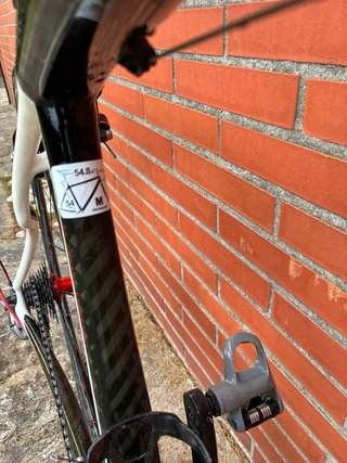 Bicicleta Carretera Specialized Roubaix Elite