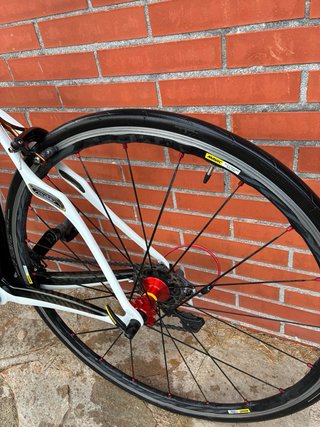 Bicicleta Carretera Specialized Roubaix Elite