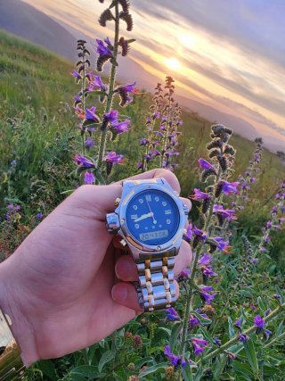 Casio AW700 profundimetro y altimetro