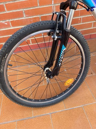 Bicicleta Giant 24 Infantil xtC