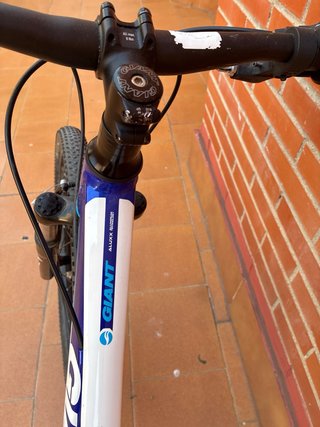 Bicicleta Giant 24 Infantil xtC