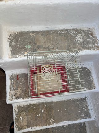 Jaula para pájaros blanca y roja