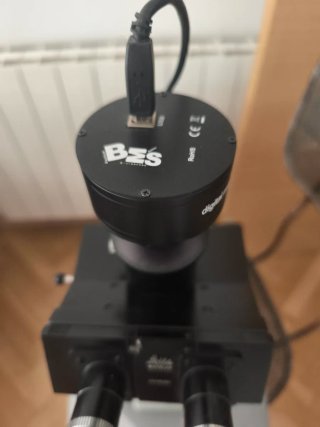 Microscopio Antiguo Leitz wetzlar