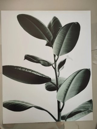 Lámina decorativa 40x50 cm