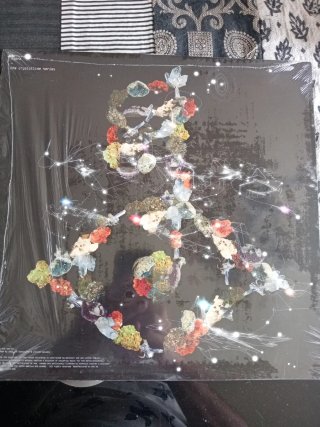 Bjork Crystalline Series Vinilo