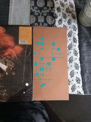 Bjork Crystalline Series Vinilo