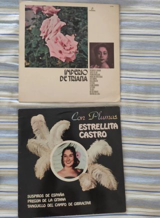 Vinilos  1-5€......2-8€