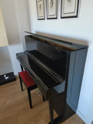 Piano Hoffman Negro