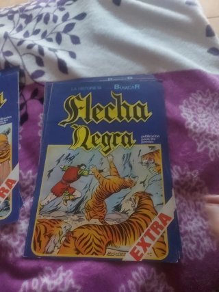 Lote de tebeos de flecha negra