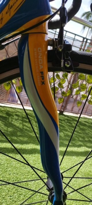 Bicicleta Pinarello Fpx Prince of Spain